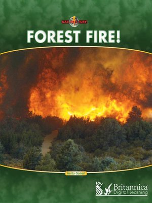 cover image of Forest Fire!
